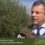 Herdade de Maria da Guarda em Serpa visitada pela TVI