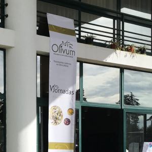 V JORNADAS OLIVUM em Beja