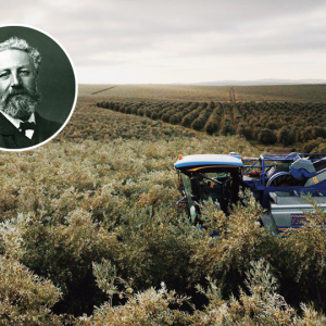 Júlio Verne previu várias "Herdade de Maria da Guarda" como solução para o futuro