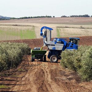 mantém operação e triplica cuidados