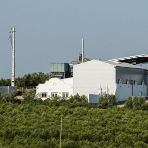 Herdade Maria da Guarda - entrevista com TSF