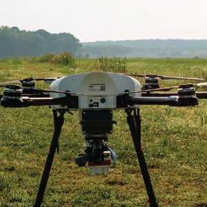 Olivicultores reforçam investimento nas novas tecnologias