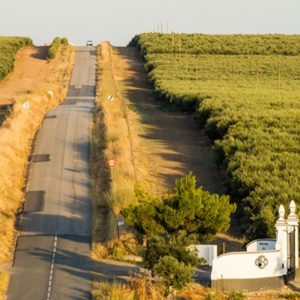 Herdade de Maria da Guarda faz parceria com a Oxy