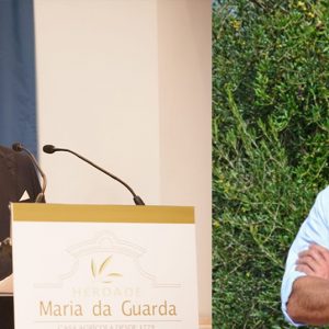 Portugal Olivais modernos já empregam 32 mil pessoas