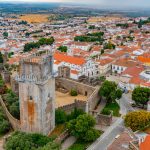 Beja tornou-se neste século num dos principais polos na produção nacional de azeite