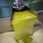 Olivum: produção em Portugal cai 10%