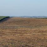 Cada vez mais empresários investem no agronegócio em Portugal e Espanha