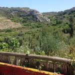 Malta: O menor produtor mundial de azeite continua a desenvolver esforços para aumentar