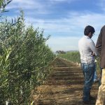 Jovens agricultores investiram mais de 1,5 mil milhões em 15 anos