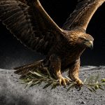 “Águia”, o módulo lunar da Apollo 11 de 1969, transportou um ramo de oliveira