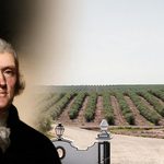 Thomas Jefferson foi o primeiro Presidente dos EUA que facilitou o consumo de azeite naquele país